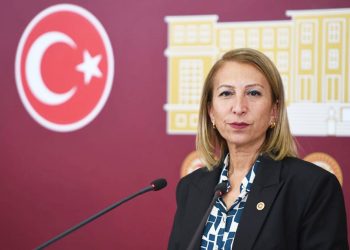 Sokak Hayvanlarına İlişkin Bu Yasa Teklifi İnsani Değil