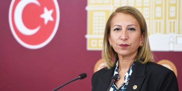 Sokak Hayvanlarına İlişkin Bu Yasa Teklifi İnsani Değil