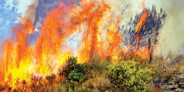 Milas İkizköy ormanlarında yangın başladı