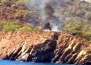 Orman Yangını Hızlı Müdahale ile Söndürüldü