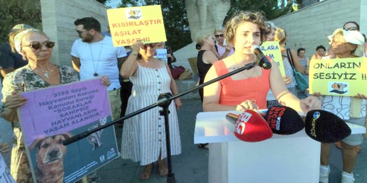 Bodrum’da “Yasayı Geri Çek” Eylemi