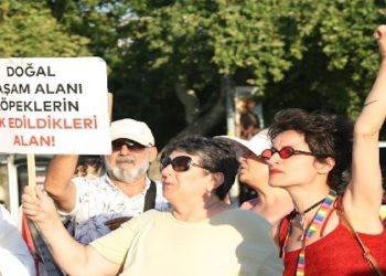 Hayvan Hakkı Savunucuları: Yasayı Sokakta Biz Yazacağız!