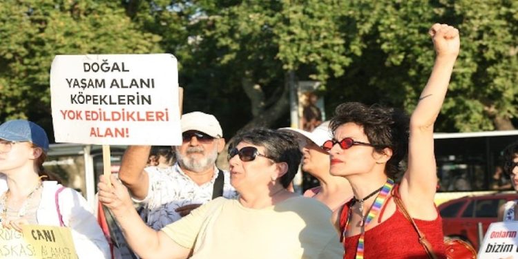 Hayvan Hakkı Savunucuları: Yasayı Sokakta Biz Yazacağız!