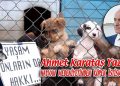 Ahmet Karataş, yazdı: HAYVAN MEDENİYETİNDEN KÖPEK İSTİSMARINA