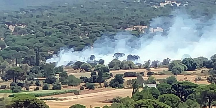 Tarım Arazilerinde Yangın Başladı