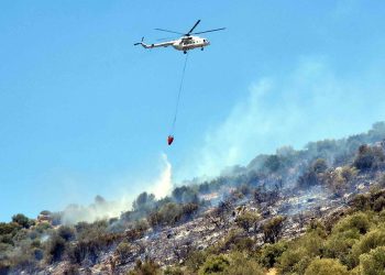 Tarım arazilerinde çıkan yangın akaryakıt istasyonuna yöneldi