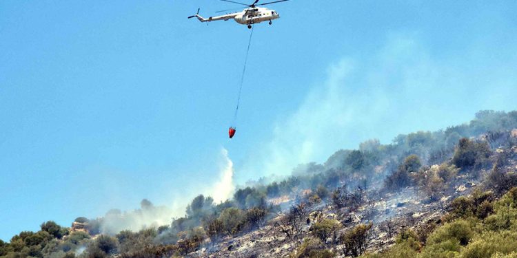 Tarım arazilerinde çıkan yangın akaryakıt istasyonuna yöneldi