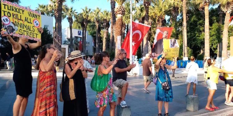 Yasaya Tepki “Ölüm Çözüm Değildir” “Bu Yasa ile Sahipsiz Hayvanları Öldürmek İstiyorlar”