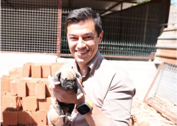 Belediye Başkanı sokak hayvanlarını sahiplenme çağrısı yaptı