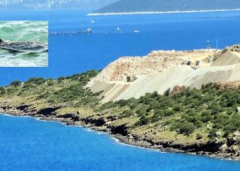 Cengiz Holding Cennetkoy’da Akdeniz Foklarının Yuvaları Olan Sahile Dalgakıran Yapacak