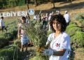 Etrim’de Lavanta Kokuları İçinde Hasat Keyfi