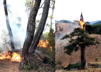 Muğla’da Bir Günde Yıldırım Kaynaklı 11 Orman Yangını Çıktı