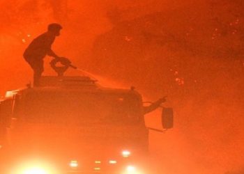 Orman Yangınında Yanan Araçtan Ceset Çıktı