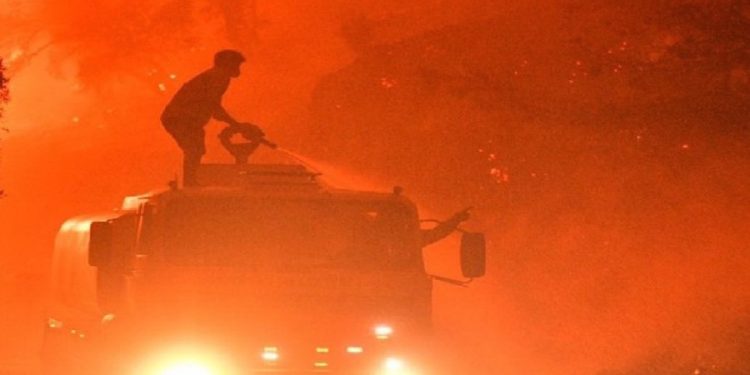 Orman Yangınında Yanan Araçtan Ceset Çıktı