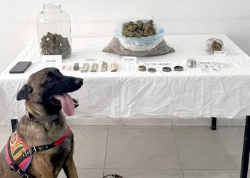 Uyuşturucu Operasyonunda Bir Kişi Tutuklandı