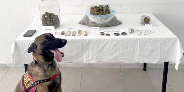 Uyuşturucu Operasyonunda Bir Kişi Tutuklandı