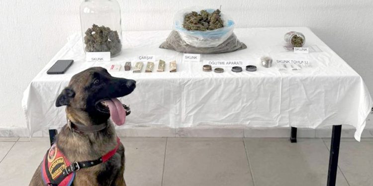 Uyuşturucu Operasyonunda Bir Kişi Tutuklandı