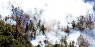 Efsane Kaplan Dağı Küle Döndü