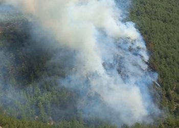 Pınarlıbelen – Kumköy’de Orman Yangını Başladı