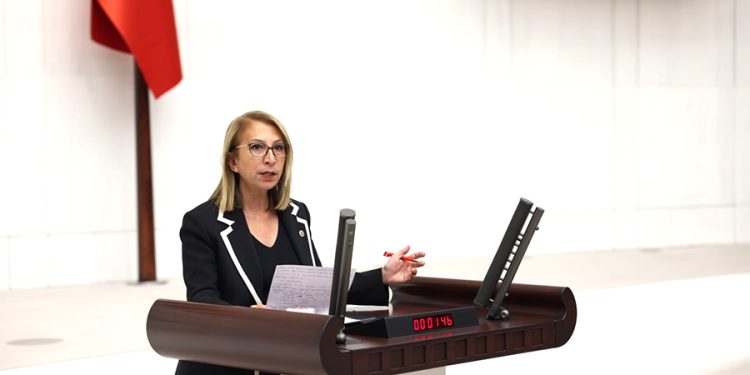 CHP’li Öneş Derici’den Göçmenler Ve Sığınmacılarla İlgili Soru Önergeleri