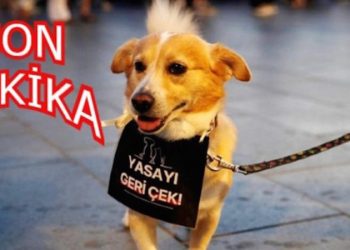 ‘Ötanazi Yasası’ Görüşmelerinde Kritik Gelişme