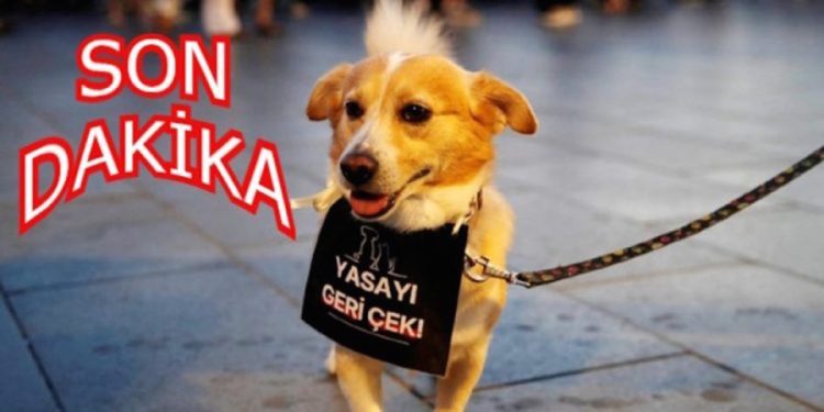 ‘Ötanazi Yasası’ Görüşmelerinde Kritik Gelişme