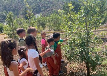 Minik Öğrenciler Tıbbi Bitkiler Koleksiyon Bahçesini Ziyaret Etti