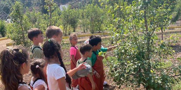 Minik Öğrenciler Tıbbi Bitkiler Koleksiyon Bahçesini Ziyaret Etti
