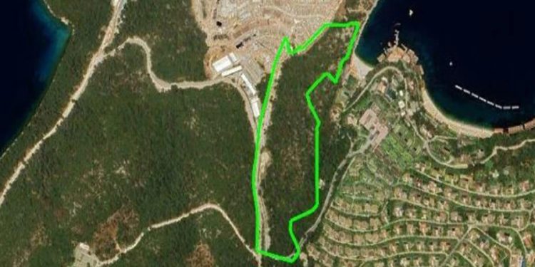 Türkbükü’ndeki Ormanın Yapılaşmaya Açılması TBMM Gündeminde