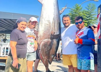 Bodrum’a orkinos akını başladı