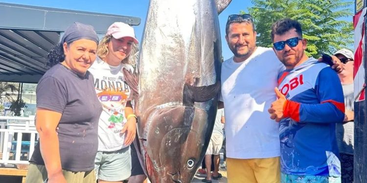 Bodrum’a orkinos akını başladı