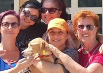 Belediye 7 Ayda 157 Patili Dost Yeni Yuvaya Kavuşturdu