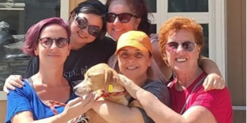 Belediye 7 Ayda 157 Patili Dost Yeni Yuvaya Kavuşturdu