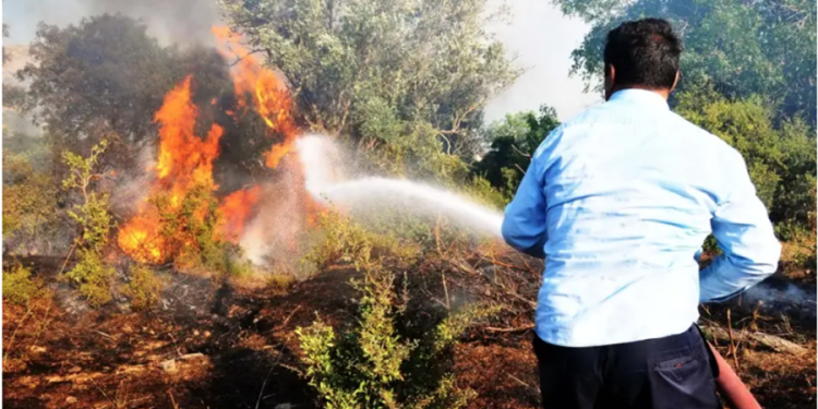 Bodrum’da yol kenarına atılan sigara yangın çıkardı