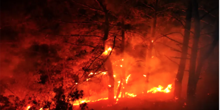 Gündoğan’da korkutan orman yangını, yürekler ağıza geldi