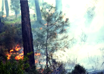 Muğla’da 2 yerde orman yangını daha başladı