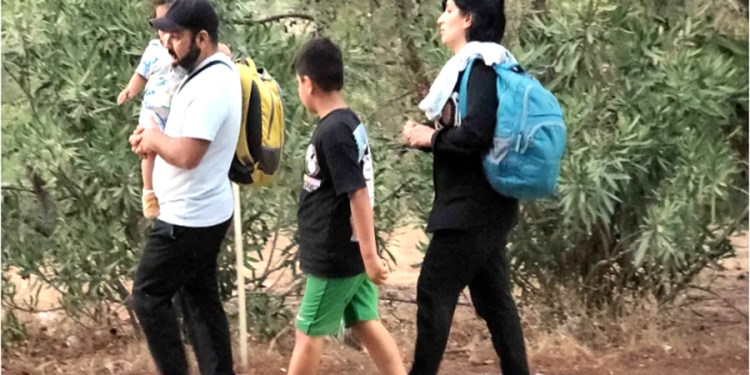 Beklenen tekne  gelmeyince karada kalan göçmenler ormana geri döndü