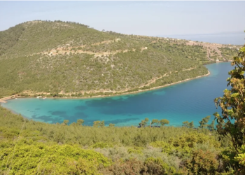 Cennet Koy Ormanları İmara Açıldı