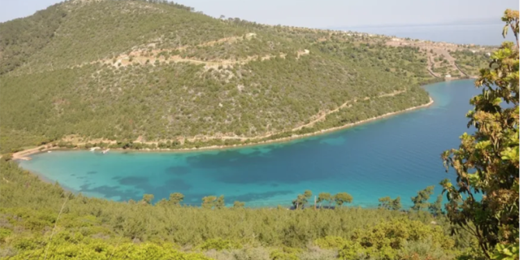 Cennet Koy Ormanları İmara Açıldı
