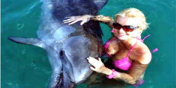 Dost canlısı olarak biliniyordu: Saldırgan yunus dehşet yarattı