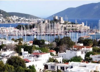 Batı Nil Virüsü vakalı bir kişi Bodrum’da tatil yapmış