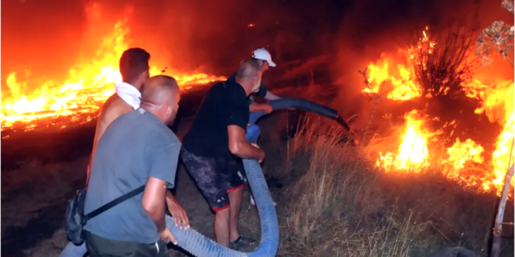 Valilik havai fişek atılmasını yasaklamıştı, attılar yangın çıktı