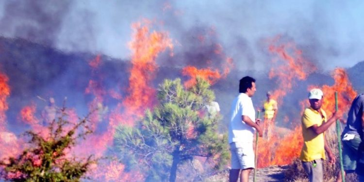 Gündoğan Farilya’da Spiralle Demir Keserken Ormanı Yaktılar, Evler Yanıyordu