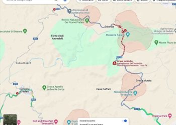 Orman Yangınlarını Google Haritalar’da İzleyebileceksiniz