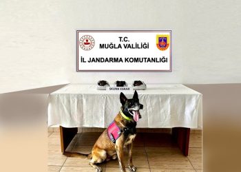 Yolcu Otobüsünde Uyuşturucu Operasyonu, 2 Kişi  Gözaltında