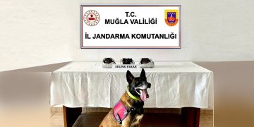 Yolcu Otobüsünde Uyuşturucu Operasyonu, 2 Kişi  Gözaltında