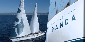 Blue Panda, Mavi Ormanlar için Türkiye’ye Yelken Açtı