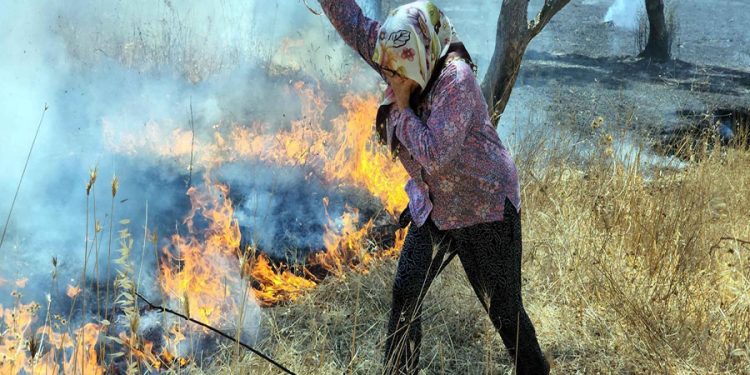 İslamhanelerindeki Yangın Kontrol Altına Alındı