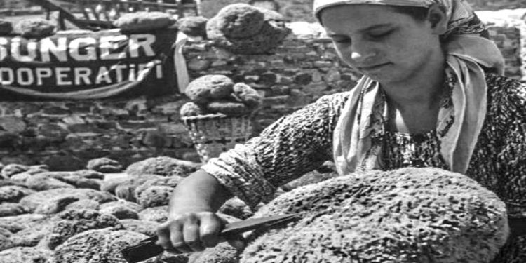 Saner Gülsöken “Bodrum’un Süngercilik Tarihini ” yazdı, anlattı