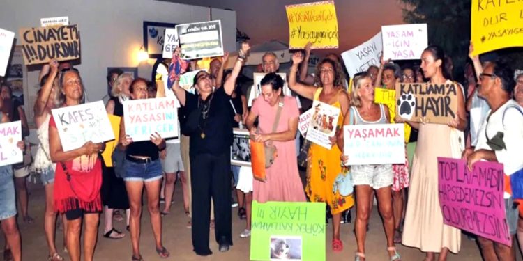 Gümüşlük’de sokak hayvanları yasasına karşı sert protesto